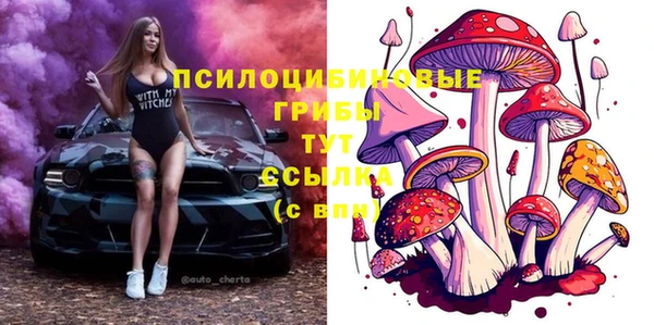 гашик Весьегонск