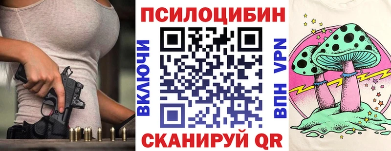 kraken как зайти  Шумиха  Псилоцибиновые грибы прущие грибы 